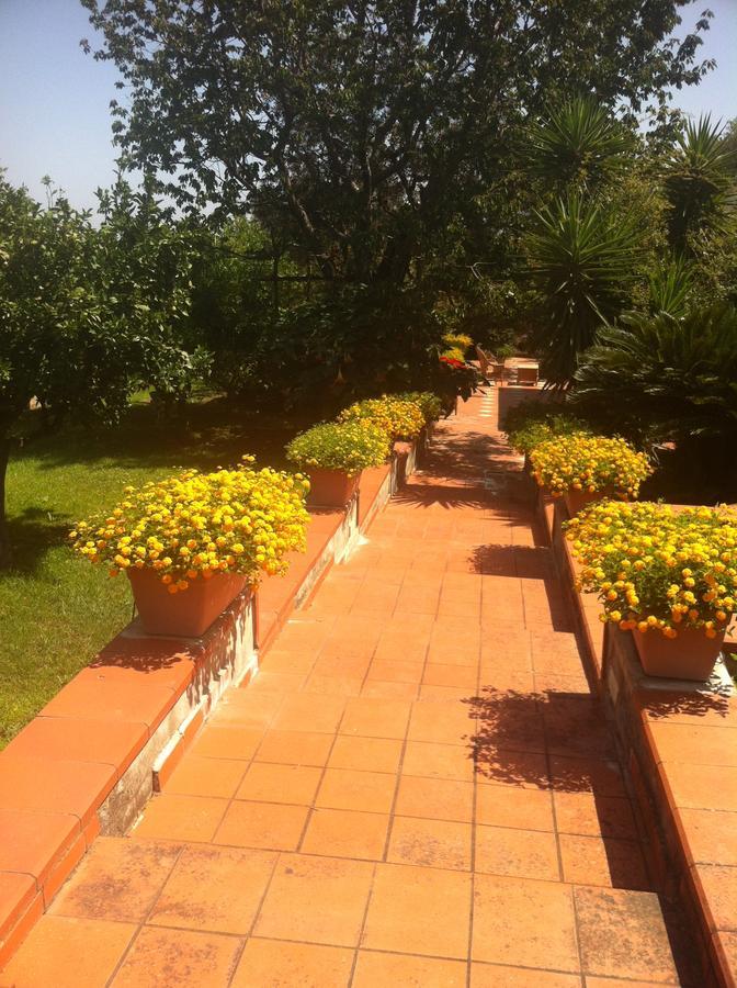B&B Villa Irma ซอร์เรนโต ภายนอก รูปภาพ